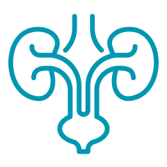 Uro Oncology 